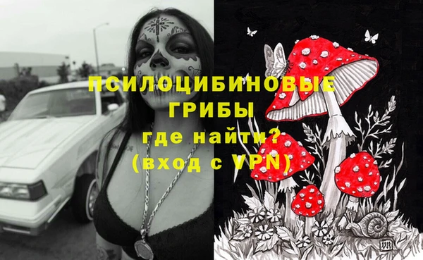 стафф Алексеевка